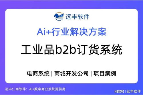 遠(yuǎn)豐軟件 以工業(yè)品B2B訂貨系統(tǒng)為核心，打造供應(yīng)鏈數(shù)字引擎，賦能數(shù)字內(nèi)容制作服務(wù)